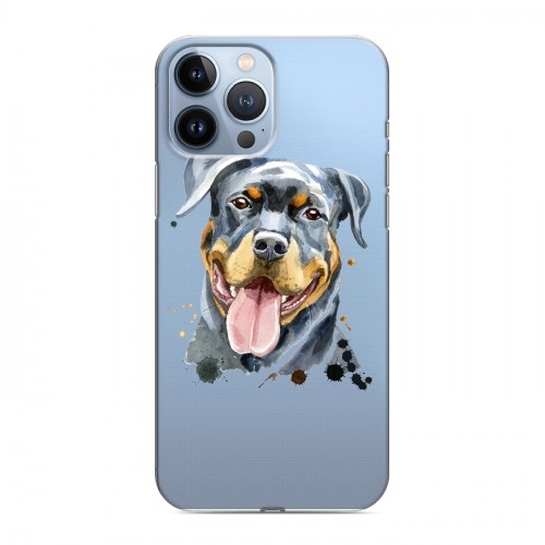 Полупрозрачный дизайнерский пластиковый чехол для Iphone 13 Pro Max Прозрачные собаки