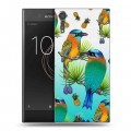 Дизайнерский пластиковый чехол для Sony Xperia XZs Птицы и фрукты