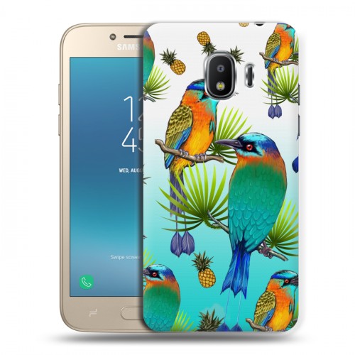 Дизайнерский пластиковый чехол для Samsung Galaxy J2 (2018) Птицы и фрукты