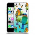 Дизайнерский пластиковый чехол для Iphone 5c Птицы и фрукты