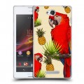 Дизайнерский пластиковый чехол для Sony Xperia C Птицы и фрукты