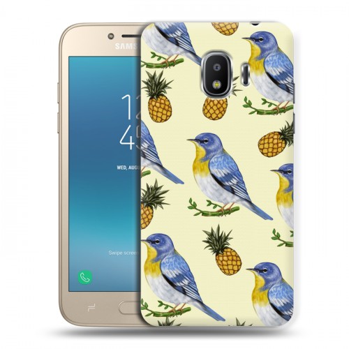 Дизайнерский пластиковый чехол для Samsung Galaxy J2 (2018) Птицы и фрукты