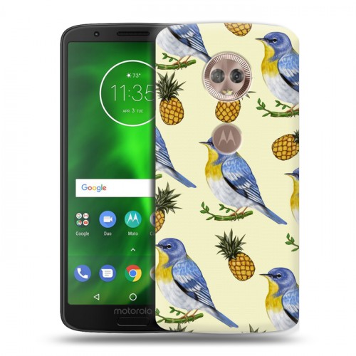 Дизайнерский пластиковый чехол для Motorola Moto G6 Птицы и фрукты