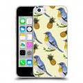 Дизайнерский пластиковый чехол для Iphone 5c Птицы и фрукты