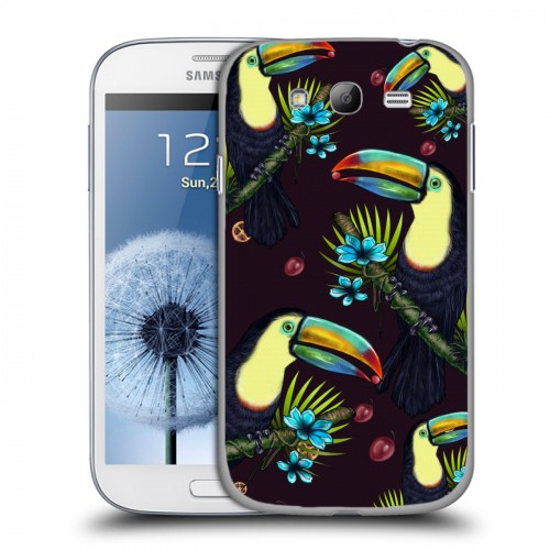 Дизайнерский пластиковый чехол для Samsung Galaxy Grand Птицы и фрукты