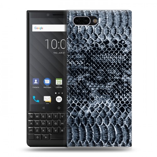 Дизайнерский пластиковый чехол для BlackBerry KEY2 Кожа змей