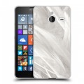 Дизайнерский пластиковый чехол для Microsoft Lumia 640 XL Перья