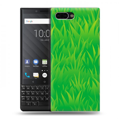 Дизайнерский пластиковый чехол для BlackBerry KEY2 Трава