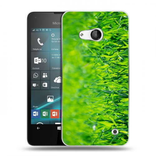 Дизайнерский пластиковый чехол для Microsoft Lumia 550 Трава