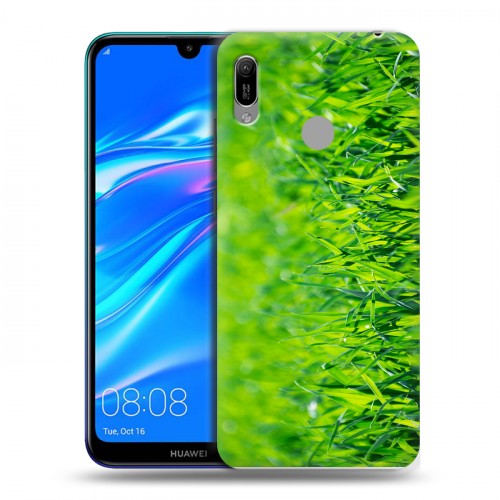 Дизайнерский пластиковый чехол для Huawei Y6 (2019) Трава