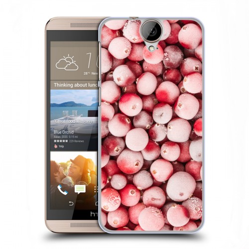 Дизайнерский пластиковый чехол для HTC One E9+ Ягоды