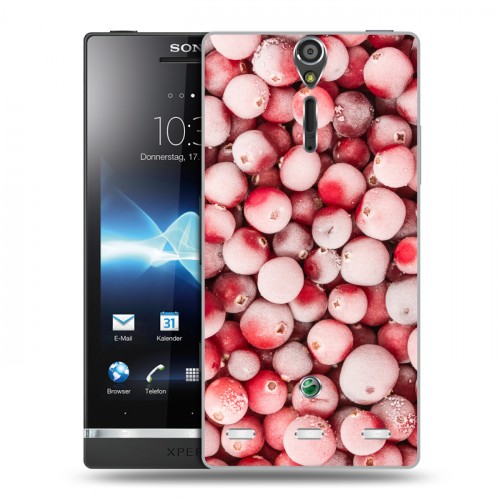 Дизайнерский пластиковый чехол для Sony Xperia S Ягоды