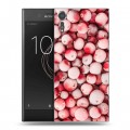 Дизайнерский пластиковый чехол для Sony Xperia XZs Ягоды