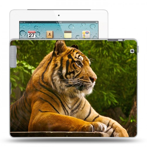 Дизайнерский пластиковый чехол для Ipad 2/3/4 Тигры