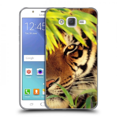 Дизайнерский пластиковый чехол для Samsung Galaxy J5 Тигры