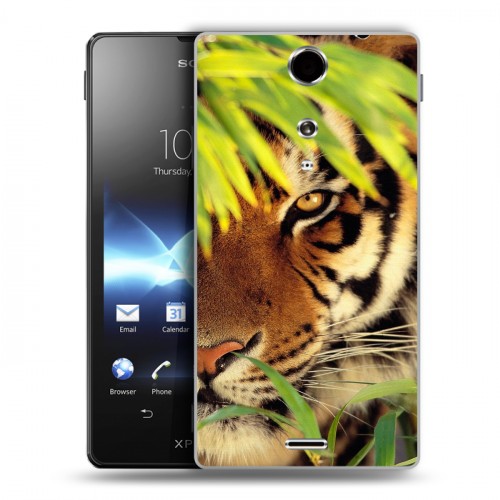 Дизайнерский пластиковый чехол для Sony Xperia TX Тигры