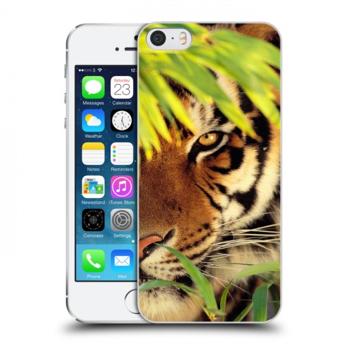 Дизайнерский пластиковый чехол для Iphone 5s Тигры