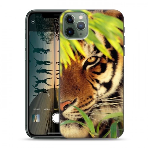 Дизайнерский пластиковый чехол для Iphone 11 Pro Max Тигры