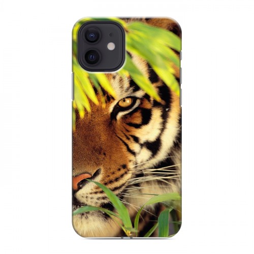 Дизайнерский силиконовый чехол для Iphone 12 Тигры