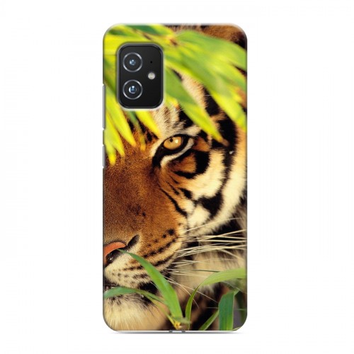 Дизайнерский силиконовый чехол для ASUS ZenFone 8 Тигры
