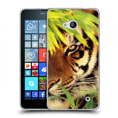 Дизайнерский пластиковый чехол для Microsoft Lumia 640 Тигры