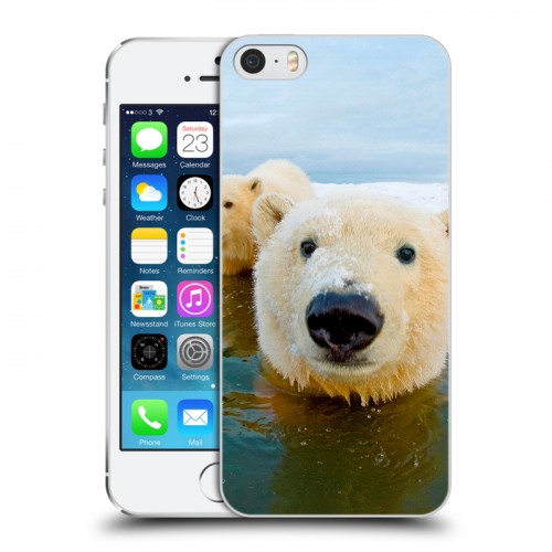 Дизайнерский пластиковый чехол для Iphone 5s Медведи