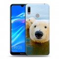 Дизайнерский пластиковый чехол для Huawei Y6 (2019) Медведи