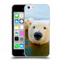 Дизайнерский пластиковый чехол для Iphone 5c Медведи