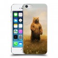 Дизайнерский пластиковый чехол для Iphone 5s Медведи