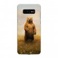 Дизайнерский пластиковый чехол для Samsung Galaxy S10 Plus Медведи