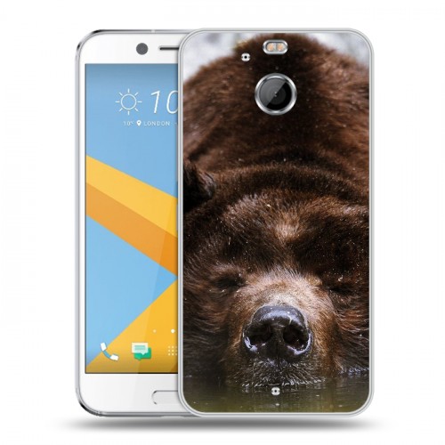 Дизайнерский пластиковый чехол для HTC 10 evo Медведи
