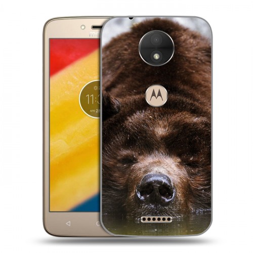 Дизайнерский пластиковый чехол для Motorola Moto C Медведи