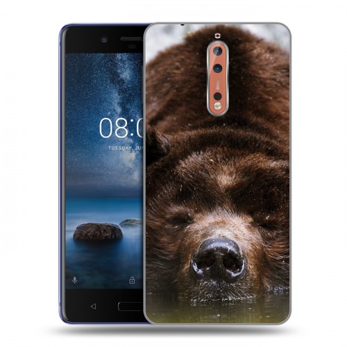 Дизайнерский пластиковый чехол для Nokia 8 Медведи