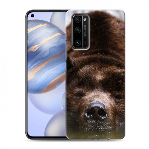 Дизайнерский пластиковый чехол для Huawei Honor 30 Медведи