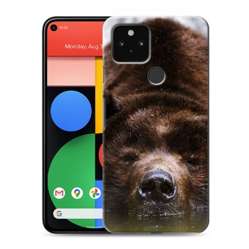 Дизайнерский пластиковый чехол для Google Pixel 5 Медведи
