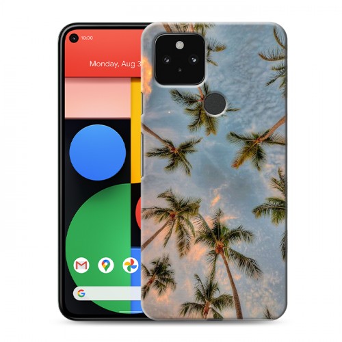 Дизайнерский пластиковый чехол для Google Pixel 5 Hawaii