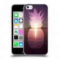 Дизайнерский пластиковый чехол для Iphone 5c Hawaii