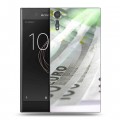 Дизайнерский пластиковый чехол для Sony Xperia XZs Текстуры денег