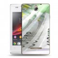 Дизайнерский пластиковый чехол для Sony Xperia E Текстуры денег