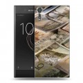 Дизайнерский пластиковый чехол для Sony Xperia XZs Текстуры денег