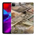 Дизайнерский пластиковый чехол для Ipad Pro 11 (2020) Текстуры денег