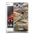 Дизайнерский пластиковый чехол для Sony Xperia L Текстуры денег