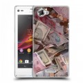 Дизайнерский пластиковый чехол для Sony Xperia L Текстуры денег