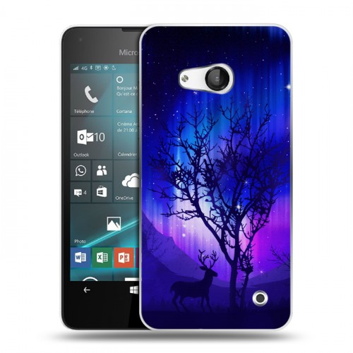 Дизайнерский пластиковый чехол для Microsoft Lumia 550 Северное сияние