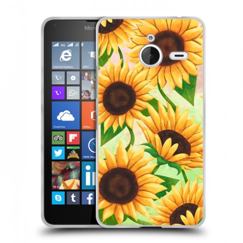 Дизайнерский пластиковый чехол для Microsoft Lumia 640 XL Романтик цветы