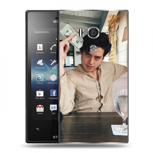 Дизайнерский пластиковый чехол для Sony Xperia acro S Ривердэйл