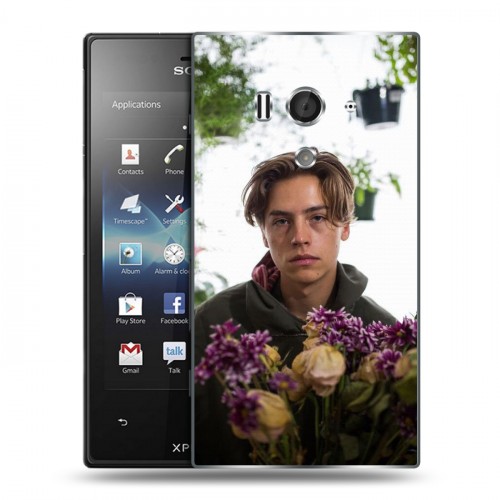 Дизайнерский пластиковый чехол для Sony Xperia acro S Ривердэйл