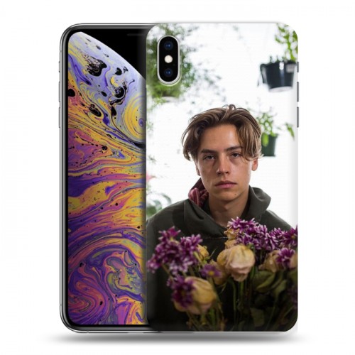 Дизайнерский силиконовый чехол для Iphone Xs Max Ривердэйл