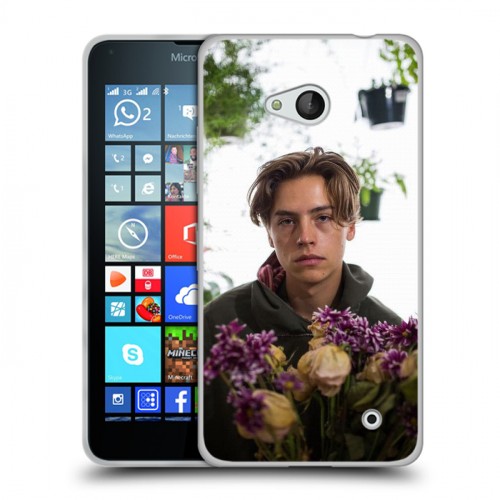 Дизайнерский пластиковый чехол для Microsoft Lumia 640 Ривердэйл