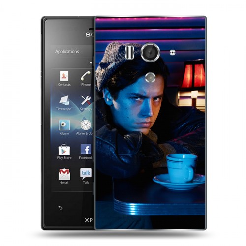 Дизайнерский пластиковый чехол для Sony Xperia acro S Ривердэйл